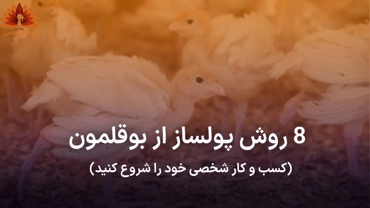 8 روش پولساز از بوقلمون