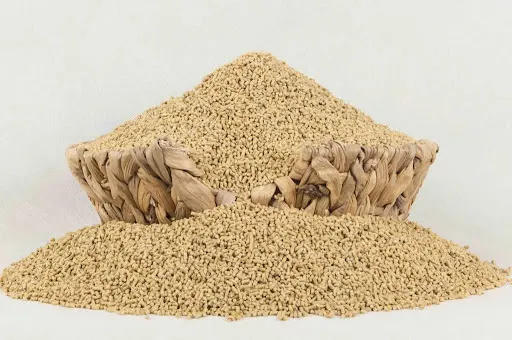 دان استارتر