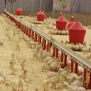 پکیج های آموزشی