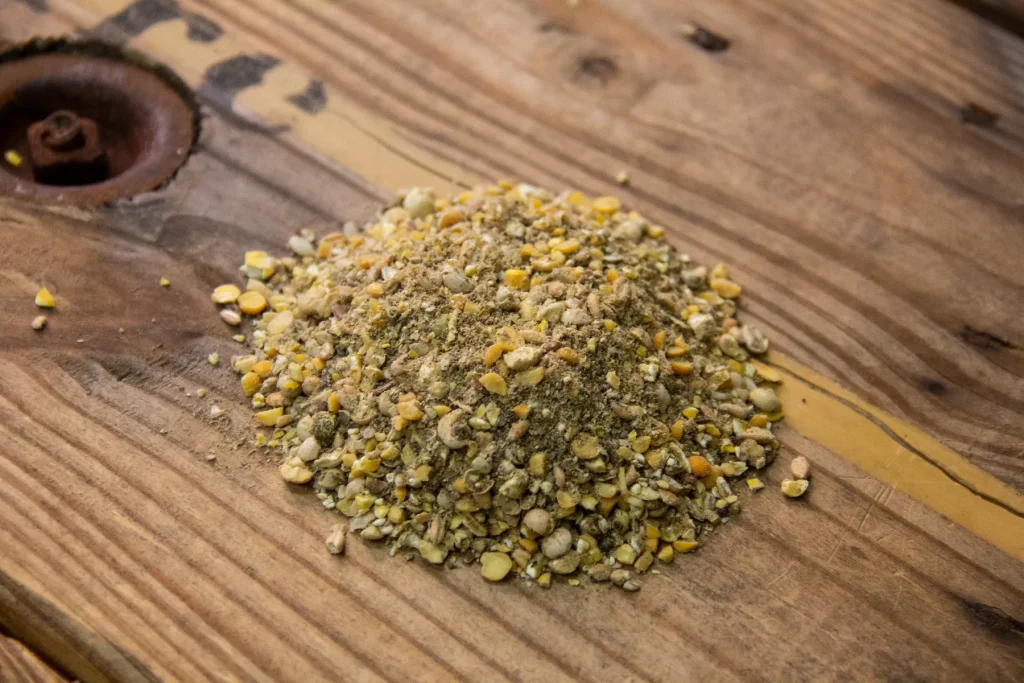 خوراک و دان