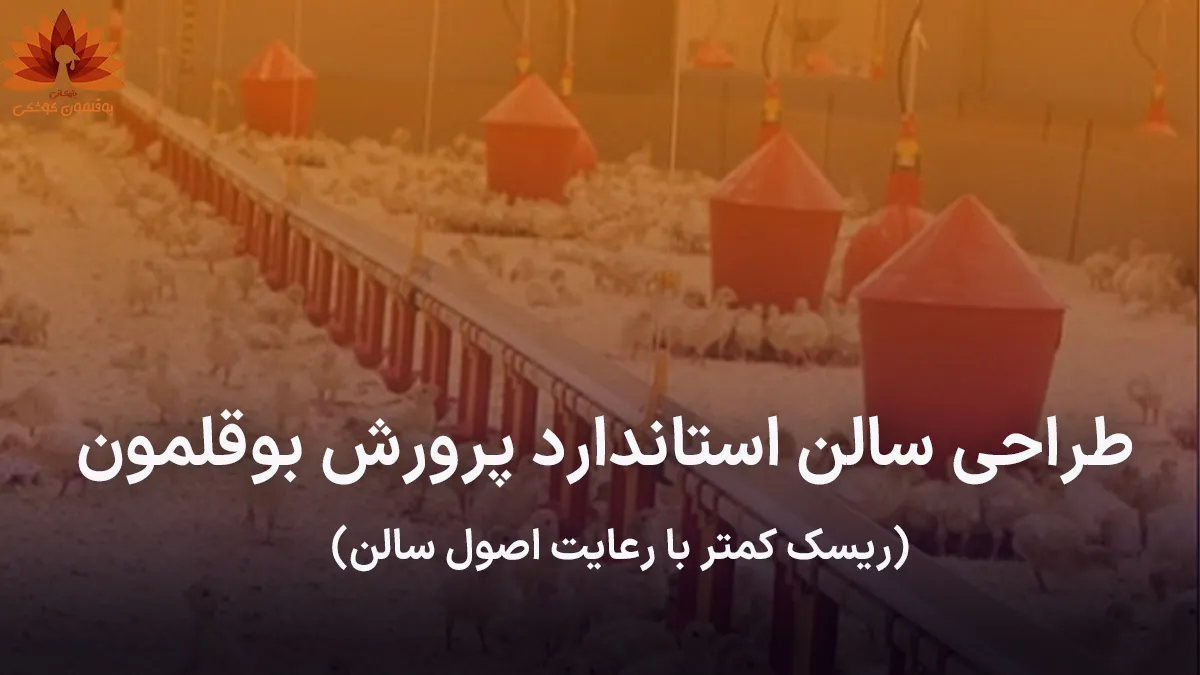 طراحی سالن استاندارد پرورش بوقلمون